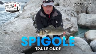 Pesca a BOLOGNESE SPIGOLE IN MARE MOSSO » Sea BOLO Passion S6E2 trabuccofishing pescabolognese [upl. by Aratehs]