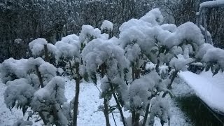 Schneee in Biberach an der Riss [upl. by Ahseikal]