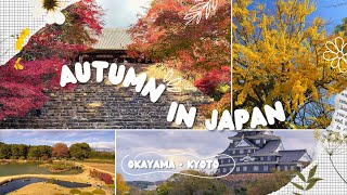 autumn in Japan  admiring the fall foliage in Kyoto temples strolling around Okayama  silent vlog [upl. by Ronald385]