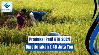 Turun Namun Tetap Surplus Produksi Padi NTB 2024 Diperkirakan 145 Juta Ton [upl. by Annoed469]