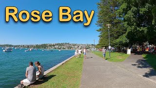 Rose Bay walking tour Australia Mar 2024  4K video [upl. by Daffie]