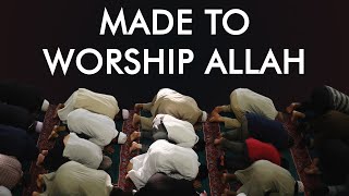 Submission Why Allah Created Humans According to Islam [upl. by Ardiedak243]