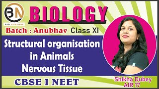 STRUCTURAL ORGANISATION IN ANIMALSNERVOUS TISSUE CLASS XI BIOLOGY NEET 2025 ANUBHAV BATCH [upl. by Eyeleen204]