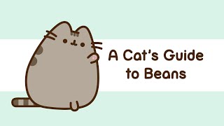 Pusheen A Cats Guide To Beans [upl. by Nonnaehr]