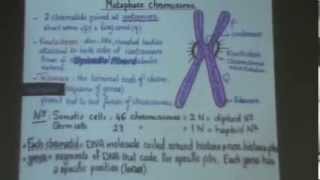 4 DrGihan Cytogenetics 16112013 [upl. by Jules507]