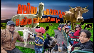 Bundoora Park Farm  Diamond Valley Miniature Railway  Anpans Diary  Malayalam Vlog [upl. by Marlin]