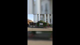 First lady Jill Biden receives the Christmas Tree at the White House [upl. by Odlabso770]