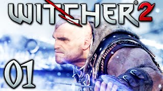 Lets Play  The Witcher 2 001 HD  Ansturm [upl. by Eened]