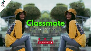 Classmate  Hambog  Tropical House RmX  2024 [upl. by Sedlik267]