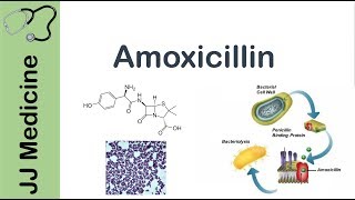 Amoxicillin  Bacterial Targets Mechanism of Action Adverse Effects  Antibiotic Lesson [upl. by Lulita]