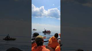 Tadoussac whale watching tadoussac quebec whalewatchingtour [upl. by Rogerg520]