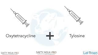 Mycoplasma Mastitis in cattle  Treatment Part2 [upl. by Tempa]