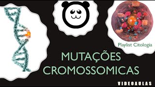 Mutações Cromossômicas [upl. by Esinev]