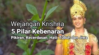 Wejangan Krishna  5 Pilar Kebenaran [upl. by Nanci]