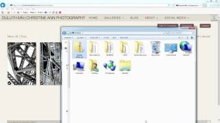 How to Download And Unzip Photos from A Zenfolio Website Gallery  Very Easy [upl. by Kronick]