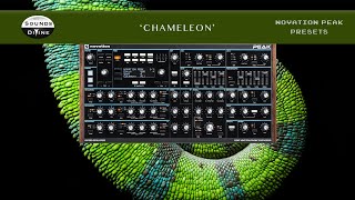 SoundsDivine Chameleon  Novation Peak [upl. by Ecirad150]