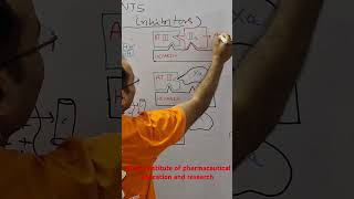 Mechanism of heparin anticoagulant lowmolecularweightheparin heparin [upl. by Carlene]