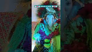 MDINDIA चा बाप्पा l ऑफिस l  Viral  Short  bappa 🌼🌺 [upl. by Akinorev]