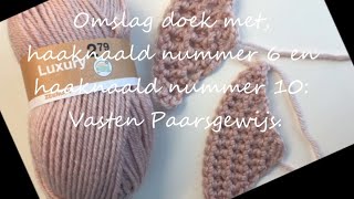 ♥️Iedereenkanhakenhowto crochet Omslagdoek vasten paarsgewijs nederlandshaken DIYbeginners [upl. by Shanks]