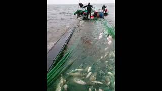 Fishing boat in rough seas [upl. by Neom]