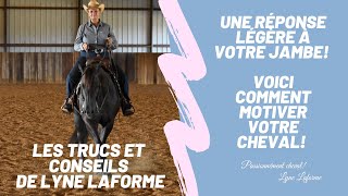 Une réponse légère à votre jambe voici comment motiver votre cheval [upl. by Jeroma532]