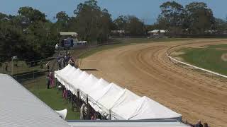 Bundaberg 20241105 Race 1 [upl. by Veradis]