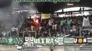 Die besten RAPID WIEN Fangesänge Part 2 [upl. by Reaht]