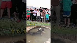 What a funny short video nature trending funny floodshorts [upl. by Ahsauqal]