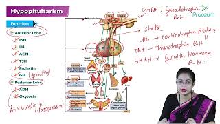 Hypopituitarism Hindi  Internal Medicine [upl. by Asselem]