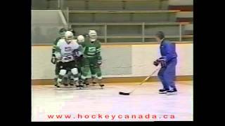 Hockey Canada NCCPChecking Skills [upl. by Yrollam715]