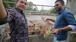 Day long Tour Chittagong to Shundurban [upl. by Cormack603]