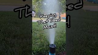 How To Keep New Grass Seed Moist 💦😂 [upl. by Eelarol]