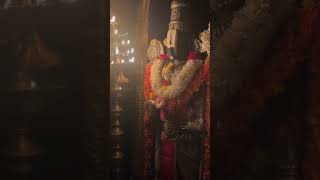 Govinda hari Govinda lordbalaji shortvideo ytshorts [upl. by Solracesoj813]