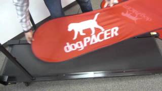 How To Lubricate Your dogPACER Treadmill [upl. by Llevel110]