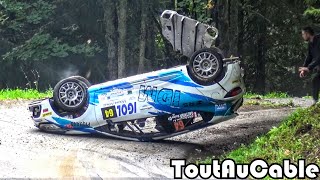 Best of Rallye Rally Crash amp Mistakes 2018 by ToutAuCable [upl. by Loveridge475]