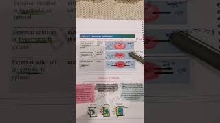 hypertonic and hypotonic biologypoli11biologygrade11 [upl. by Fishman791]