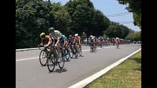 Le Tour de Langkawi 2019 Stage 11769km [upl. by Abernathy]