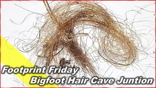 Bigfoot Hair in Cave Junction [upl. by Ener]