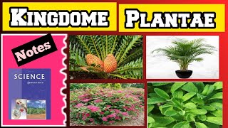 Plantae Kingdome  Plantae Kingdome charecter Plantae [upl. by Caitrin610]