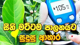 සීනි මට්ටම පාලනයට සුදුසු ආහාර arthritis sinhalaayurveda arthritiscure ayurveda [upl. by Eceinwahs]