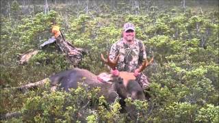 HIDEAWAY LODGE Newfoundland Moose Hunting Outfitters [upl. by Ainegul]