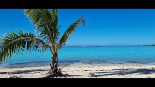 Polynésie Moorea hotel Manava [upl. by Nanji869]