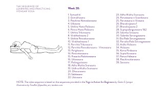 Week 28 Learning and Practicing Iyengar Yoga for Beginners [upl. by Divadnoj]