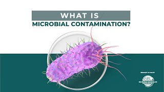 What is Microbial Contamination  Everything to Know [upl. by Ballinger]