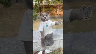 Dont Throw It✋ Its A Surprise Snack For The Squirrel🐿️🌰 catvideos catmemes trending [upl. by Anyel]