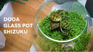 Easy Wabi Kusa Tutorial Create a minimalistic planted jar with a Jewel Orchid and Moss [upl. by Severen]