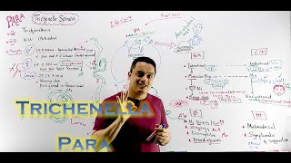 Musculosketal Parasitology  Trichinella Sparganosis  Sarcocystosis [upl. by Oriel]