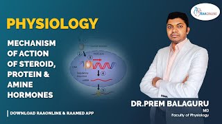 Physiology  Mechanism of action of steroid protein and amine hormones  Raaonline [upl. by Ahsytal]