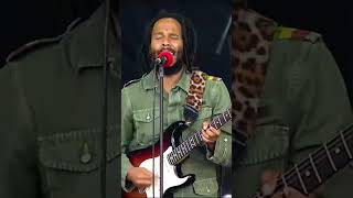 Ziggy Marley  One Love Live at PolAndRock Festival 2019 reggae viral video onelove [upl. by Emmi]