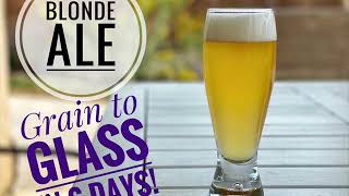 Blonde Ale  Grain to glass in 6 days  Fermzilla All Rounder [upl. by Anallij522]